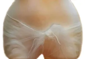 White Ultra Sheer Sarong